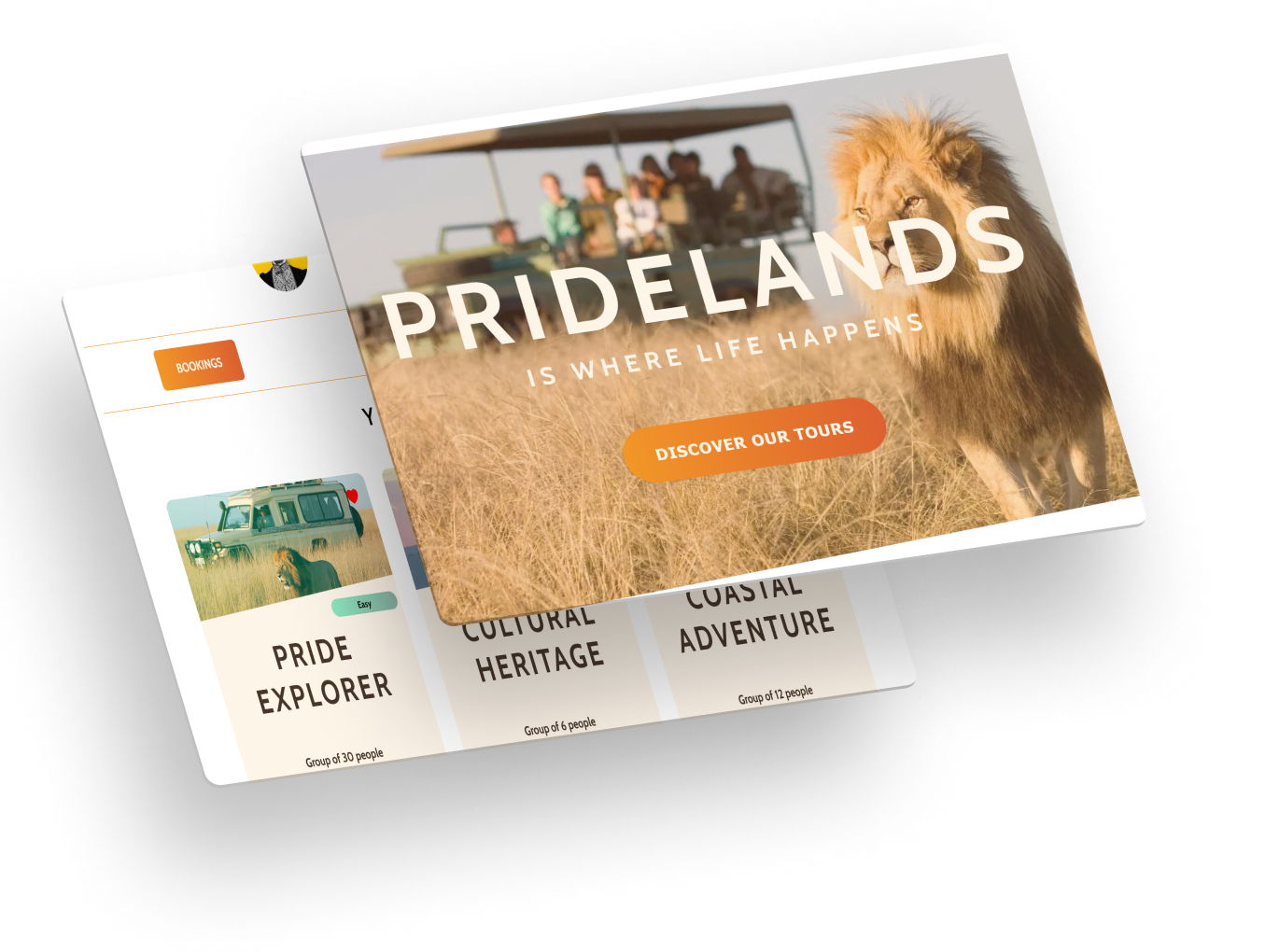 Screen mockup of Pridelands project